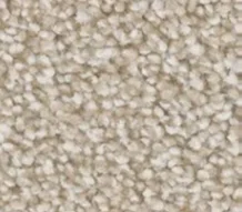 Carpet by Gorgeous Floors and More Carpet<br />Carpet can add warmth and comfort to any room.  We offer superior stain resistance products with  strong fabric you can count on in many colors and  styles.